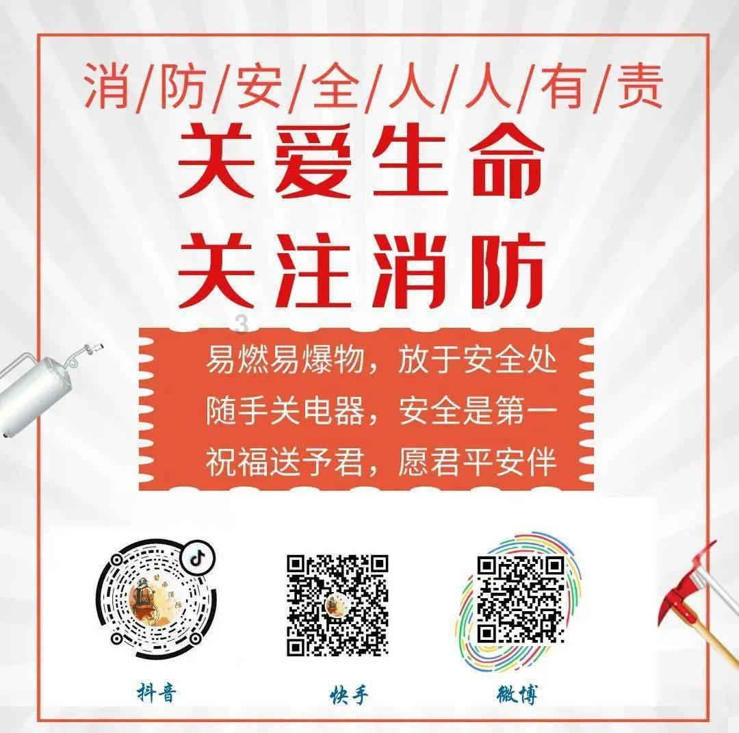 探寻智慧的